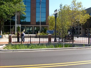 WashSqRainGarden2