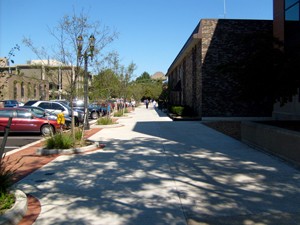 WashSqRainGarden3