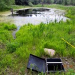 Drain Outlet - post-construction. Note level control structure in foreground that allows for drain maintenance.